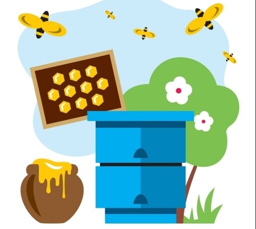 Beekeeping Classes Spring 2025