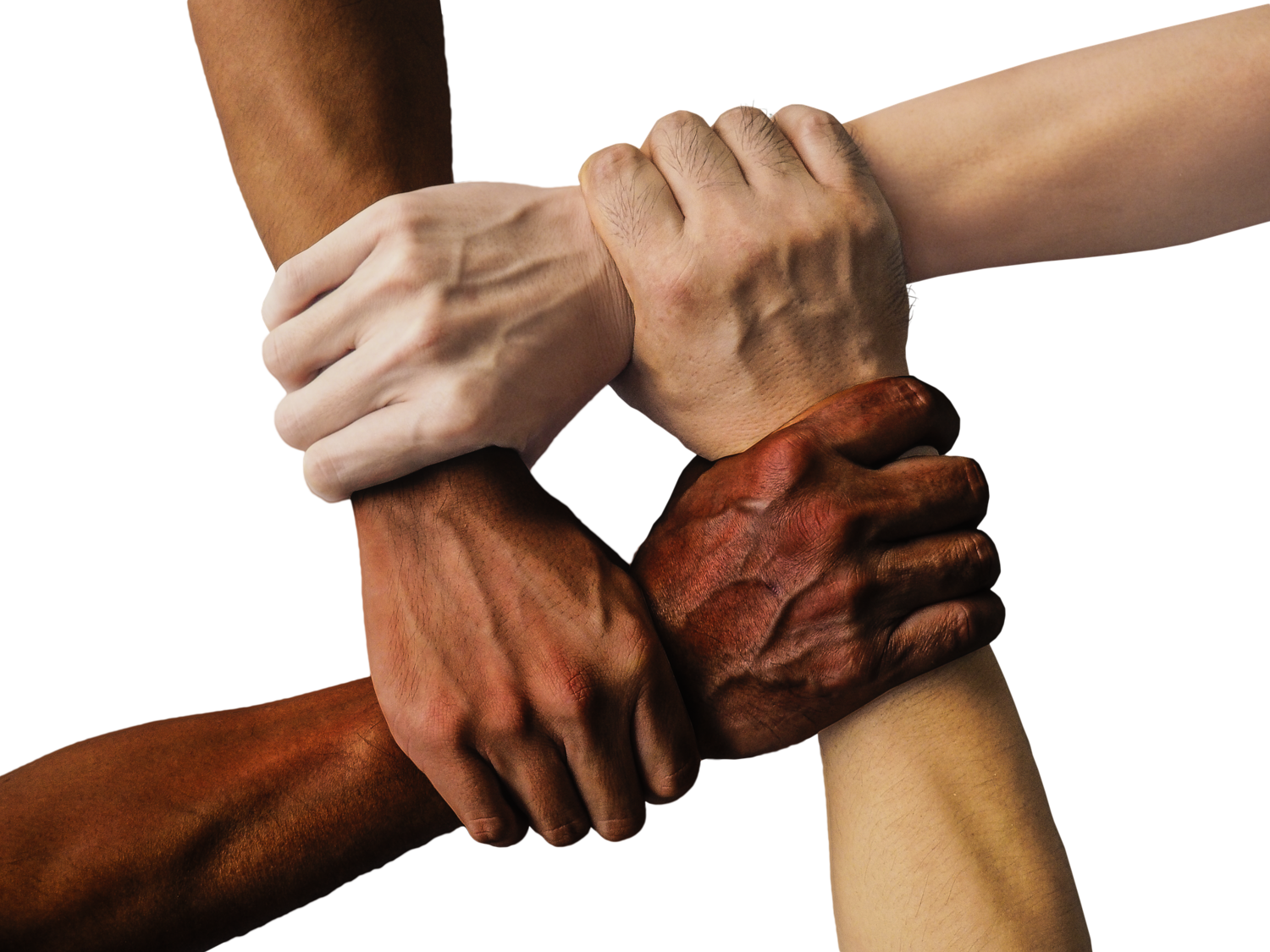 Sample File Diversity, Equity, and Inclusion
