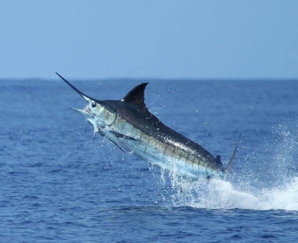 Mauritius Soudanbank