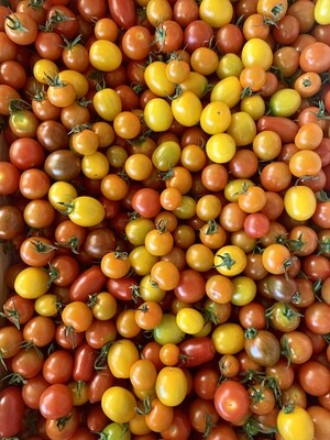 Tomate cerise colorée (les 250G)