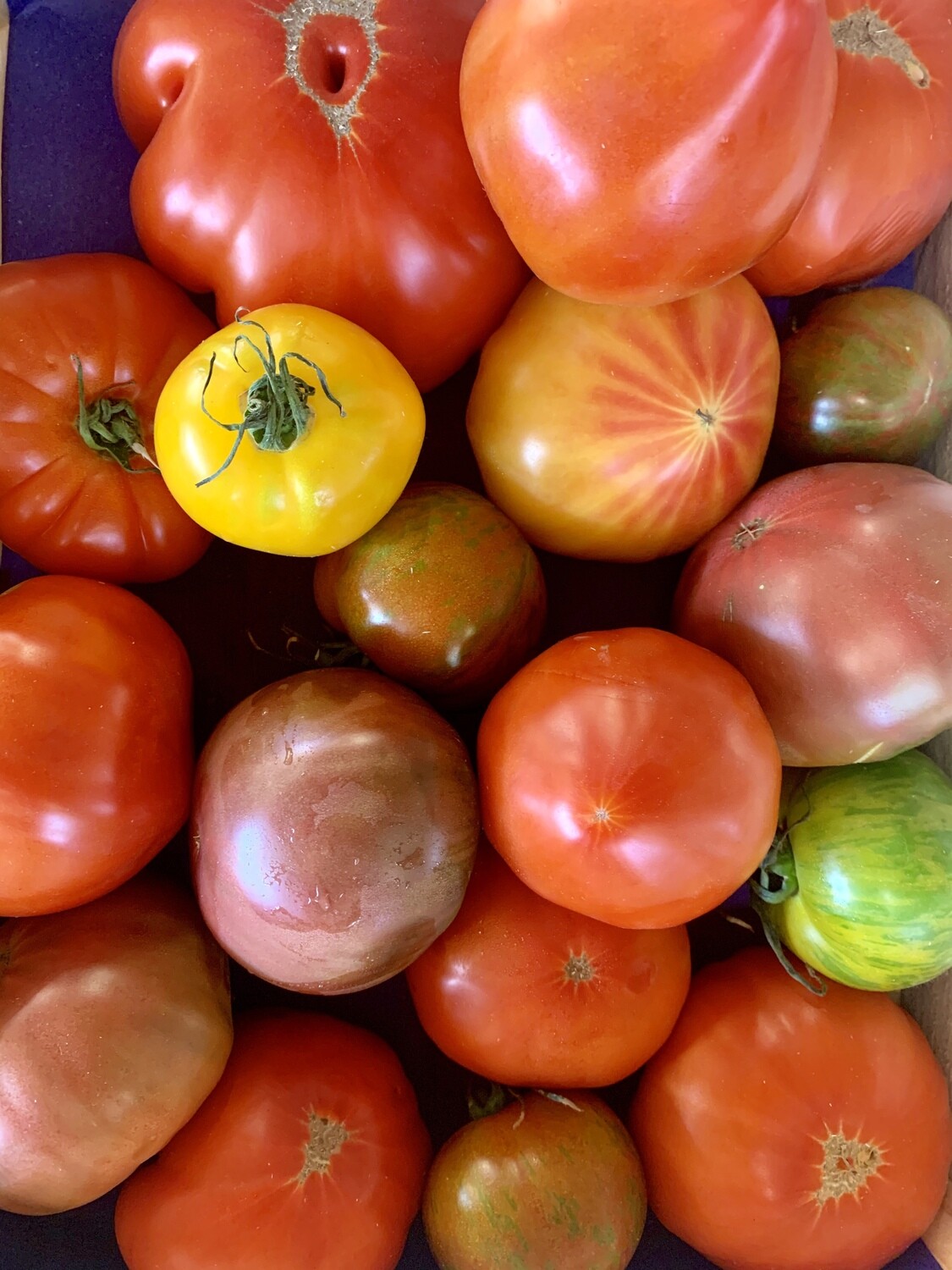 Tomate ancienne (le kg) Tomate ancienne (le kg)