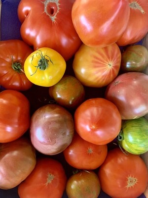 Tomate ancienne (le kg)