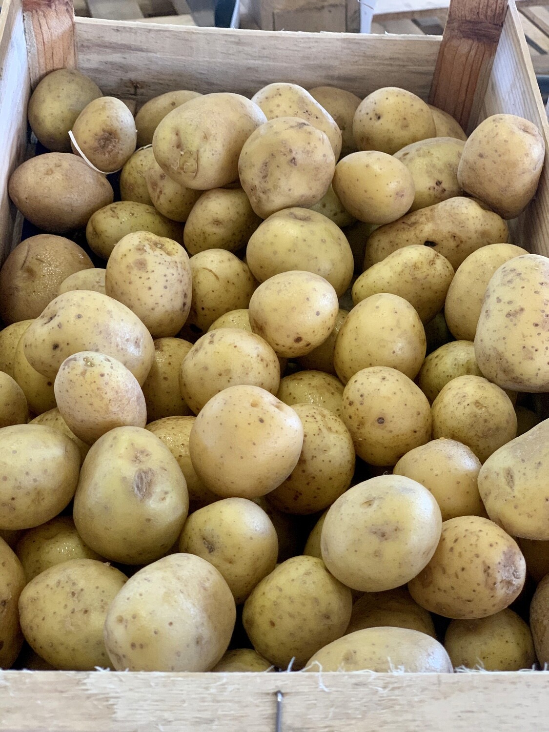 Pomme de terre Agata (le kg) Pomme de terre Agata (le kg)