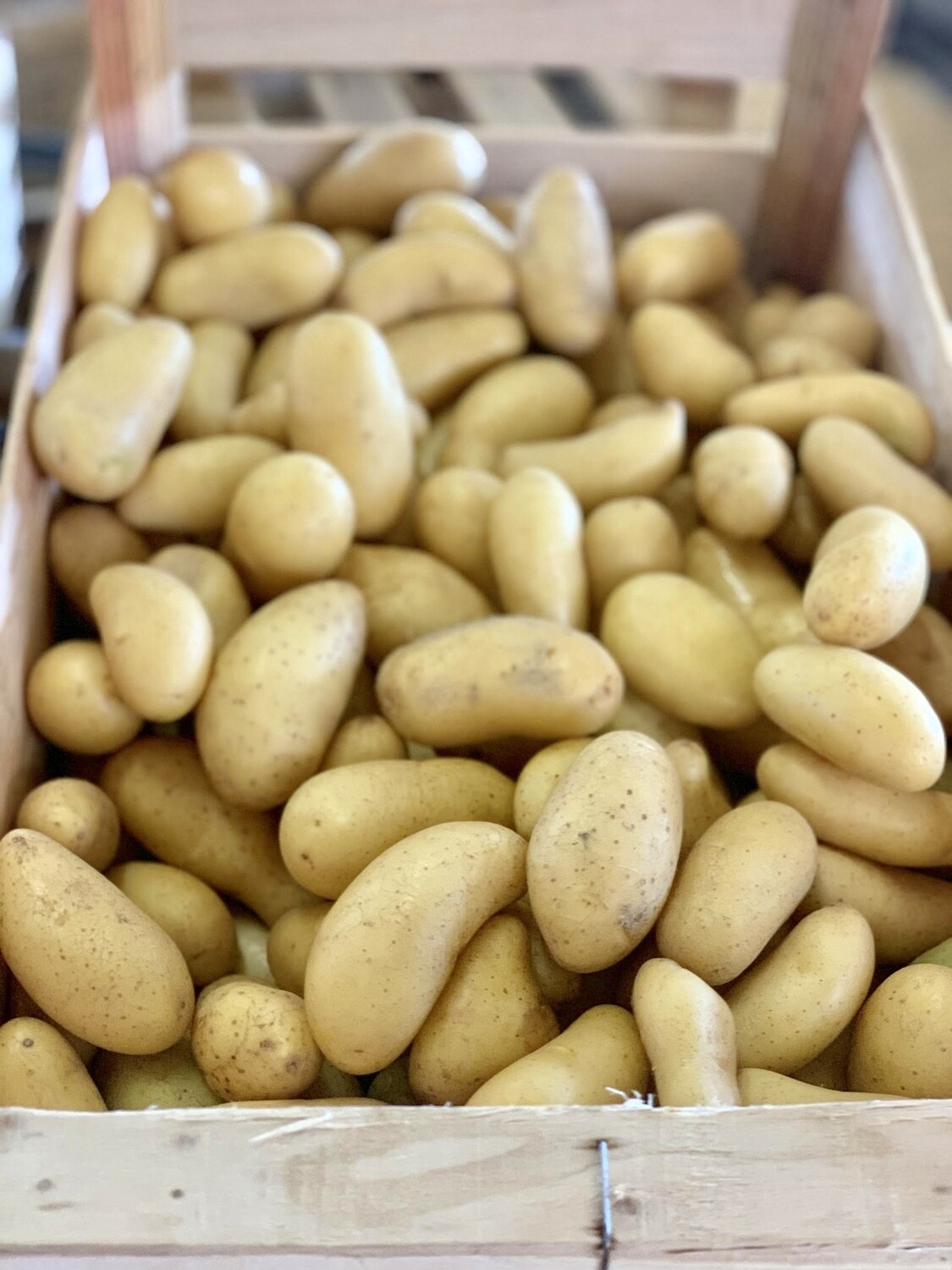 Pomme de terre Amandine (le kg) Pomme de terre Amandine (le kg)