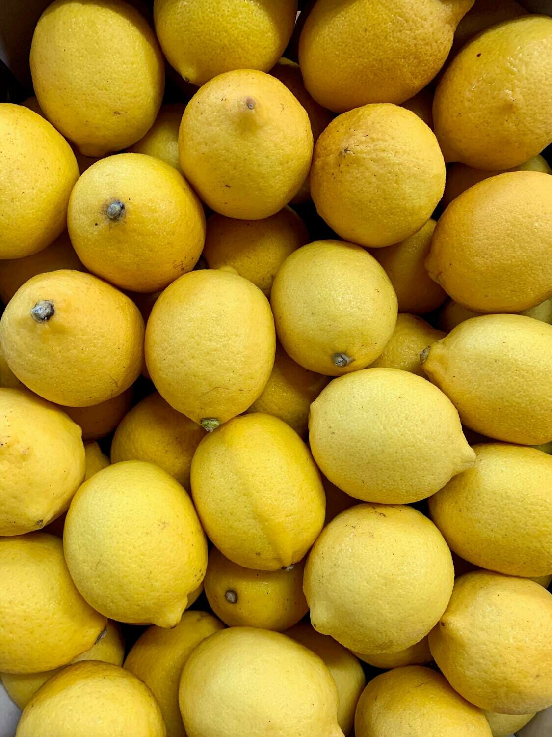 Citron (la pièce) Citron (la pièce)