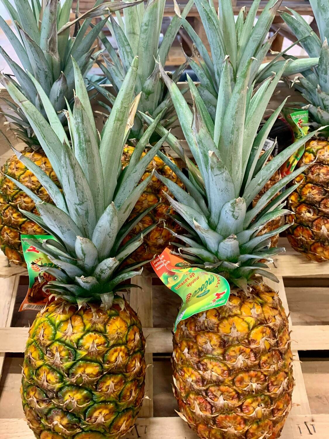Ananas (la pièce) Ananas (la pièce)