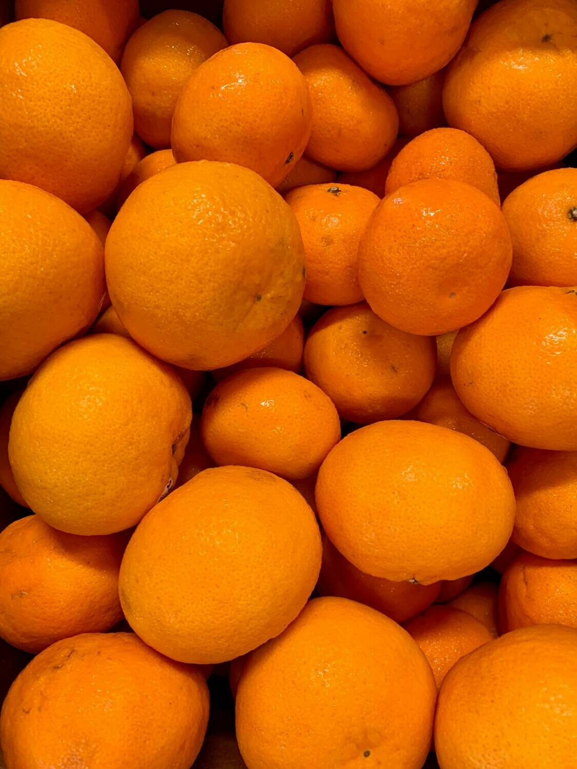 Clémentine (le kg) Clémentine (le kg)