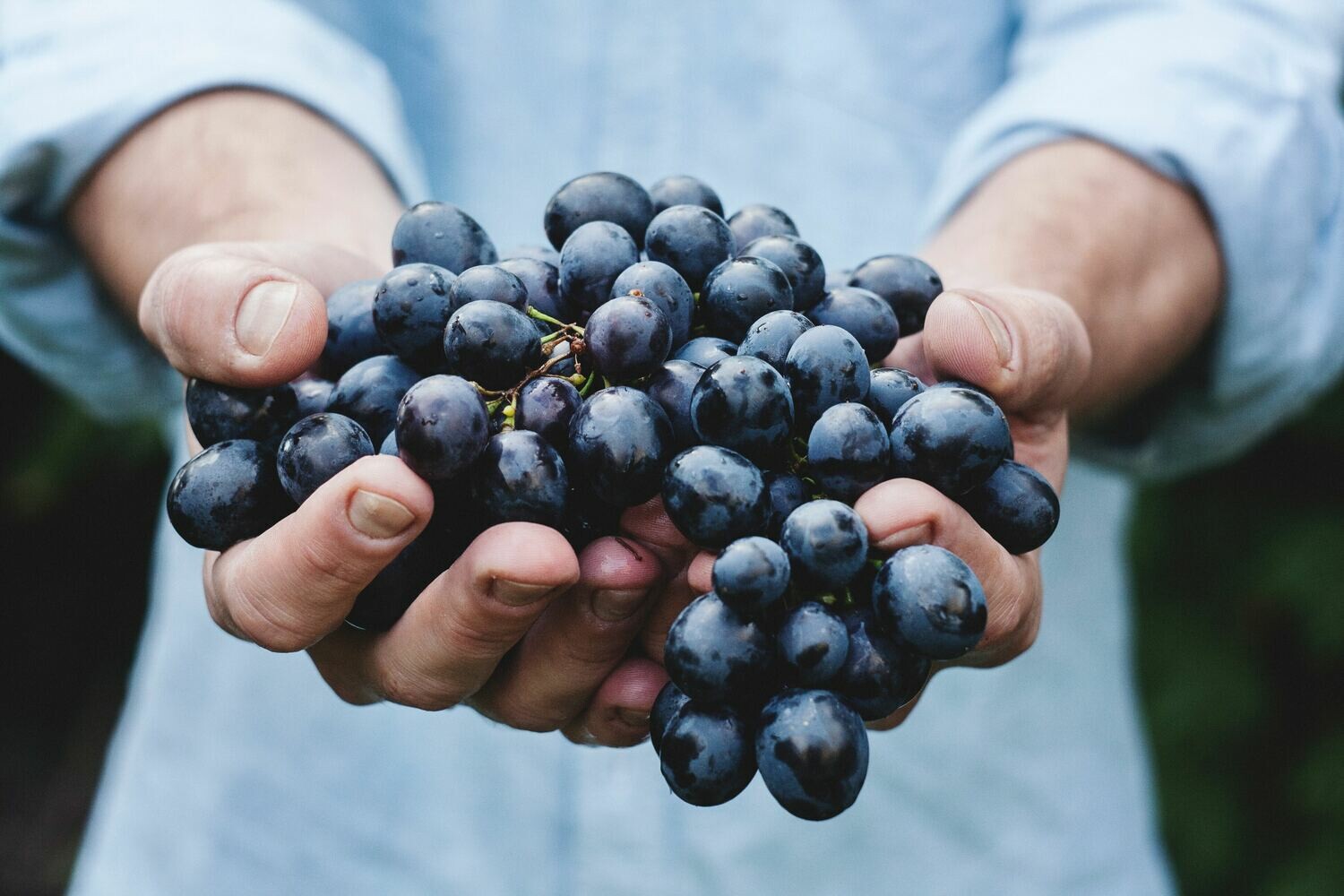 Raisin noir (le kg) Raisin noir (le kg)