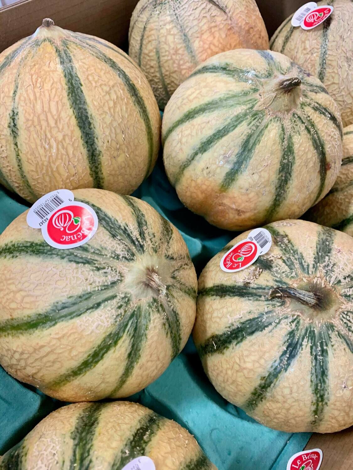 Melon Benac (la pièce) Melon Benac (la pièce)