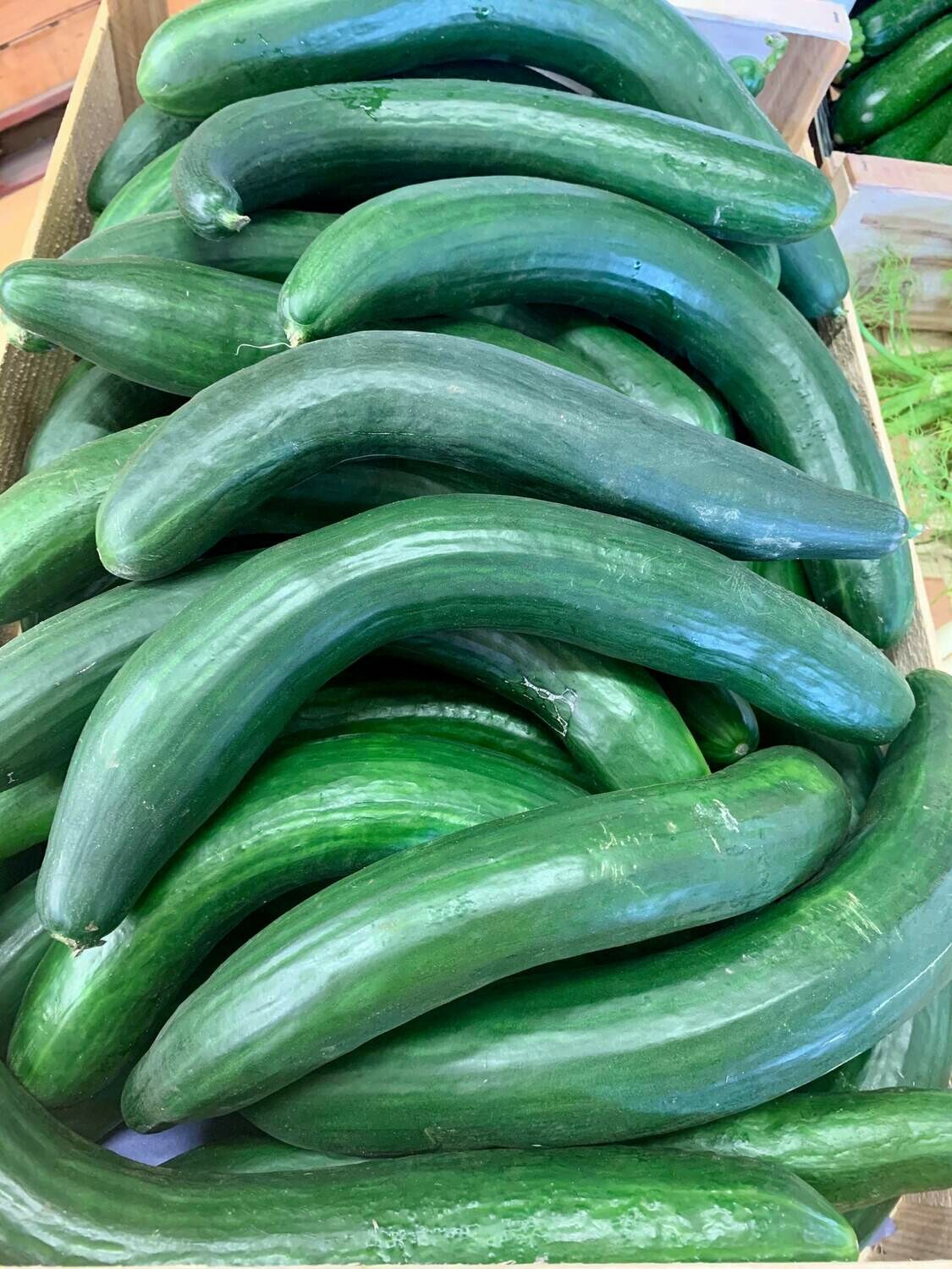 Concombre cornichon (la pièce) Concombre cornichon (la pièce)