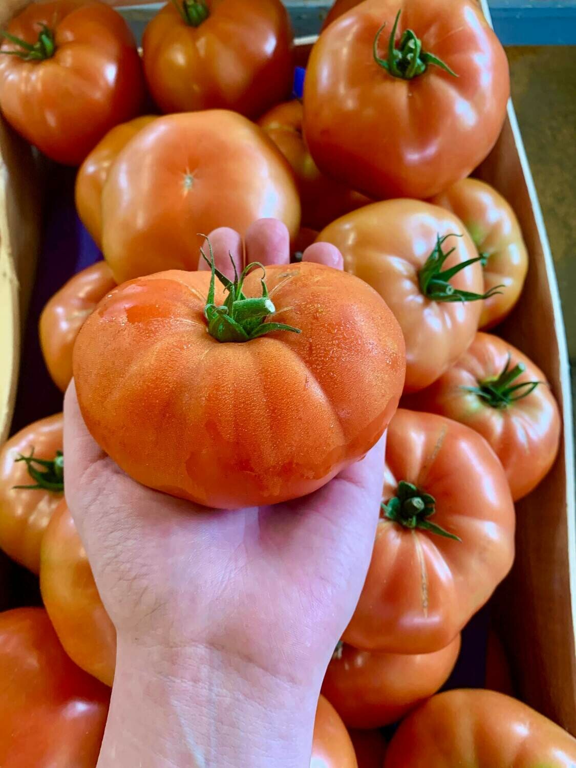 Tomate marmande (le kg) Tomate marmande (le kg)