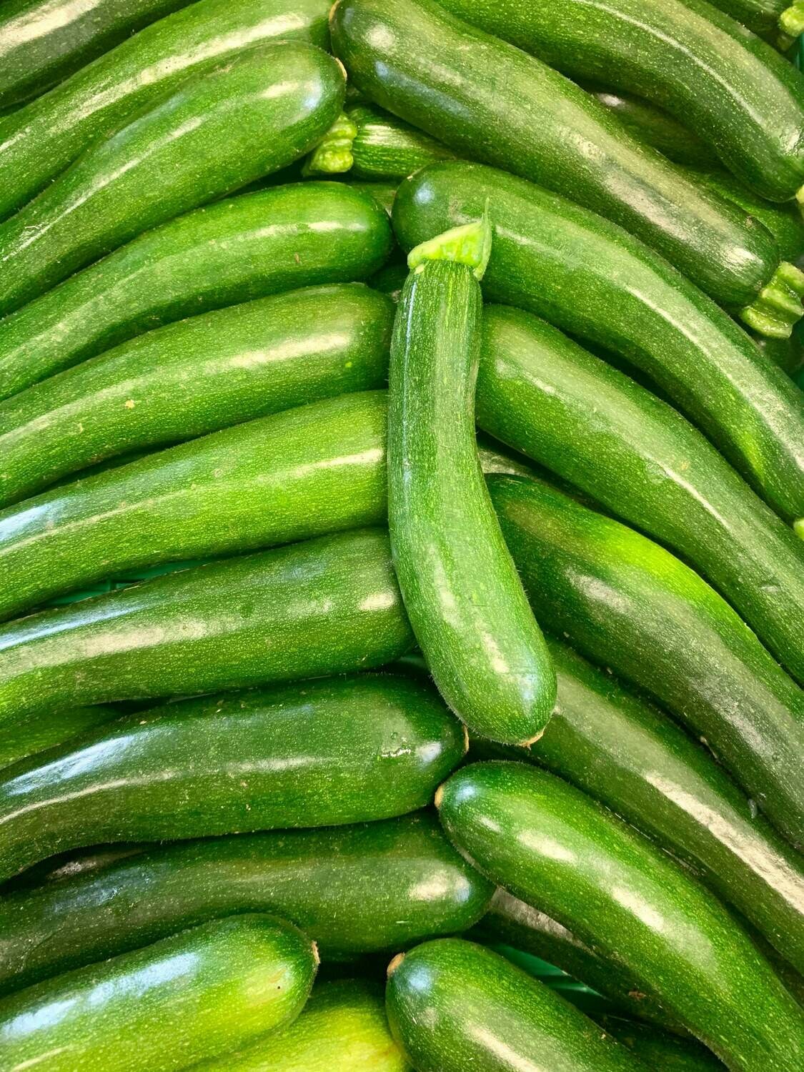 Courgette (le kg) Courgette (le kg)