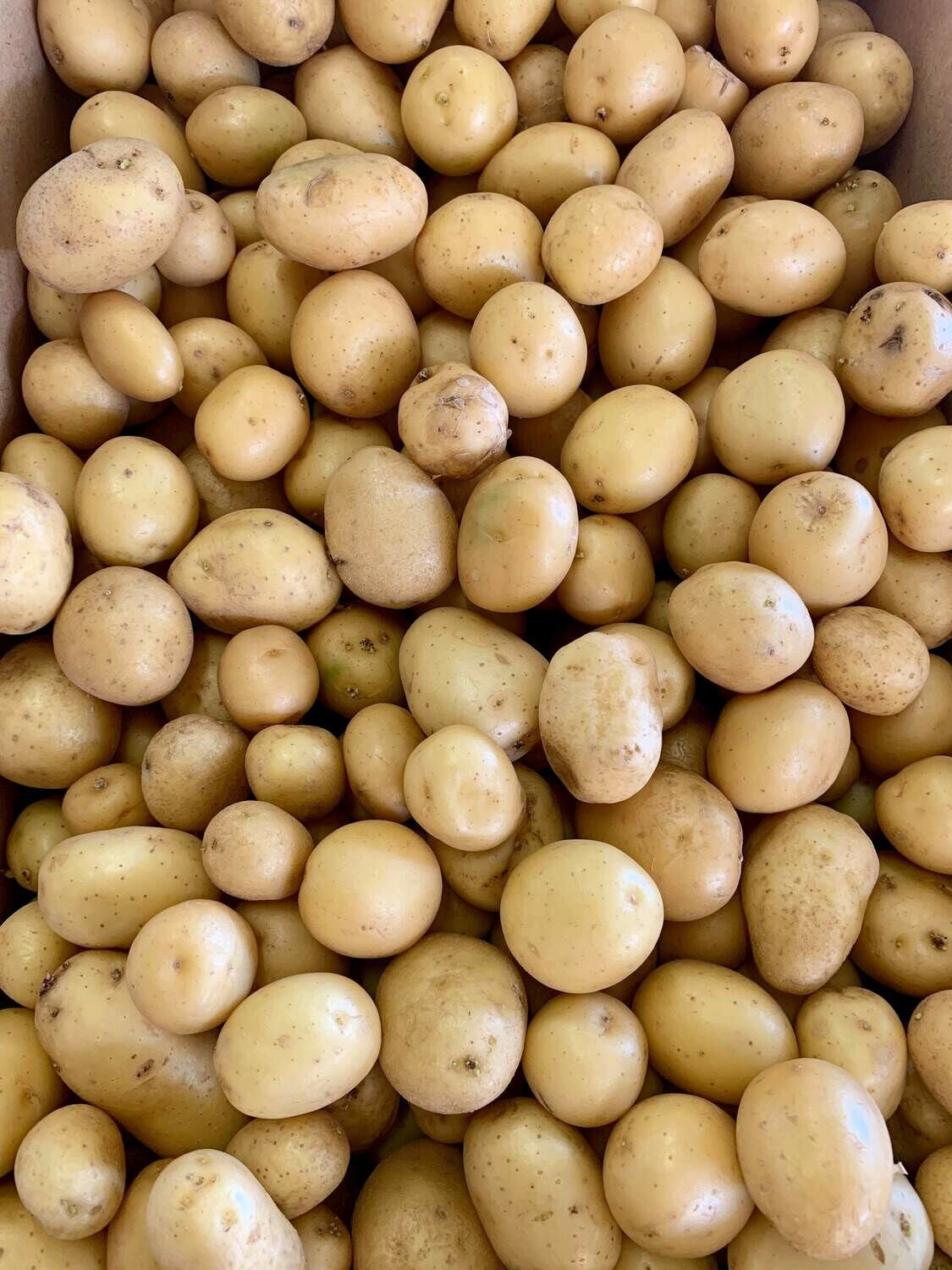 Pomme de terre grenaille (le kg) Pomme de terre grenaille (le kg)