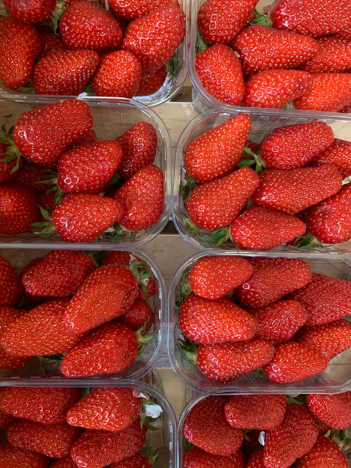 Fraise guariguette 250g Fraise guariguette 250g