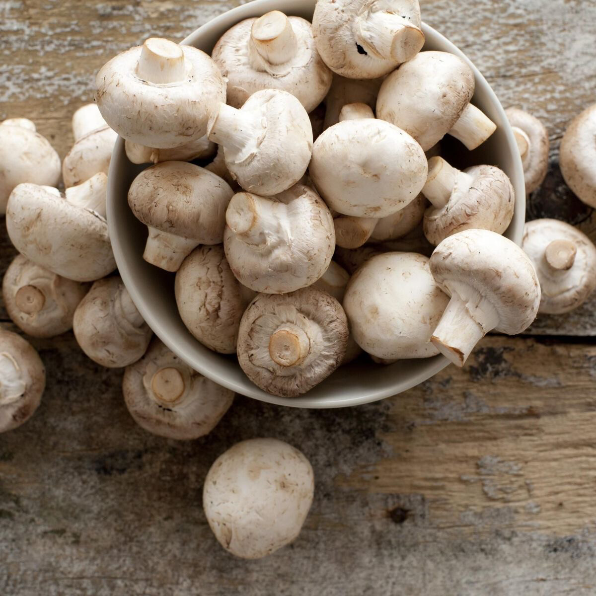 Champignon (le kg)