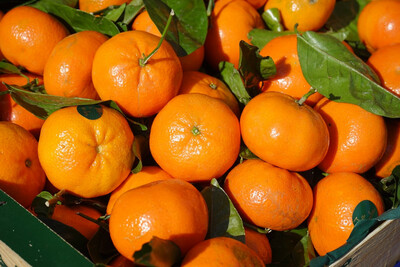 Clémentine (le kg)