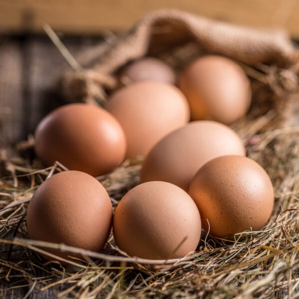 Oeufs fermiers (boîte de 12)