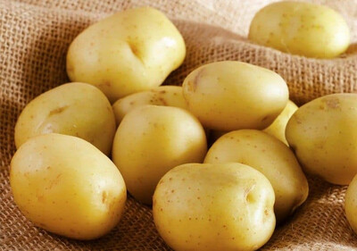 Pomme de terre Agata (le kg)