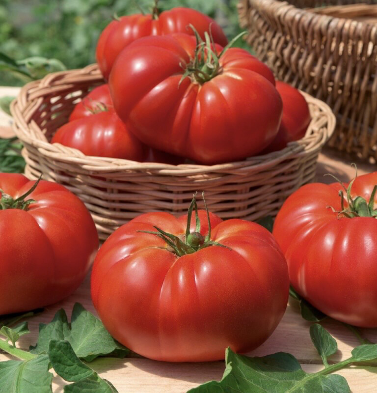 Tomate marmande (le kg)