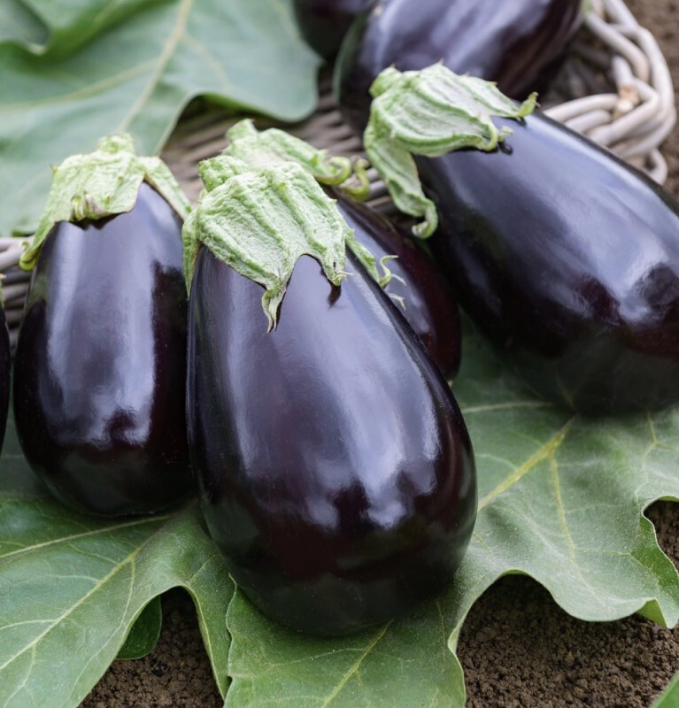 Aubergine (le kg)
