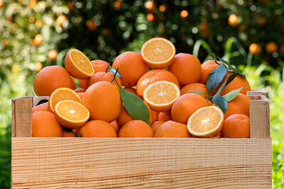 Caisse d’orange 10kg