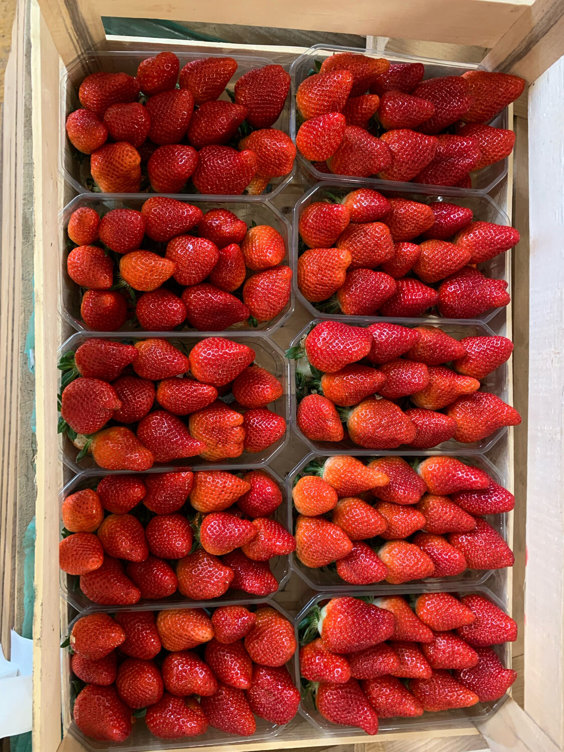 Fraise Clery (la barquette)