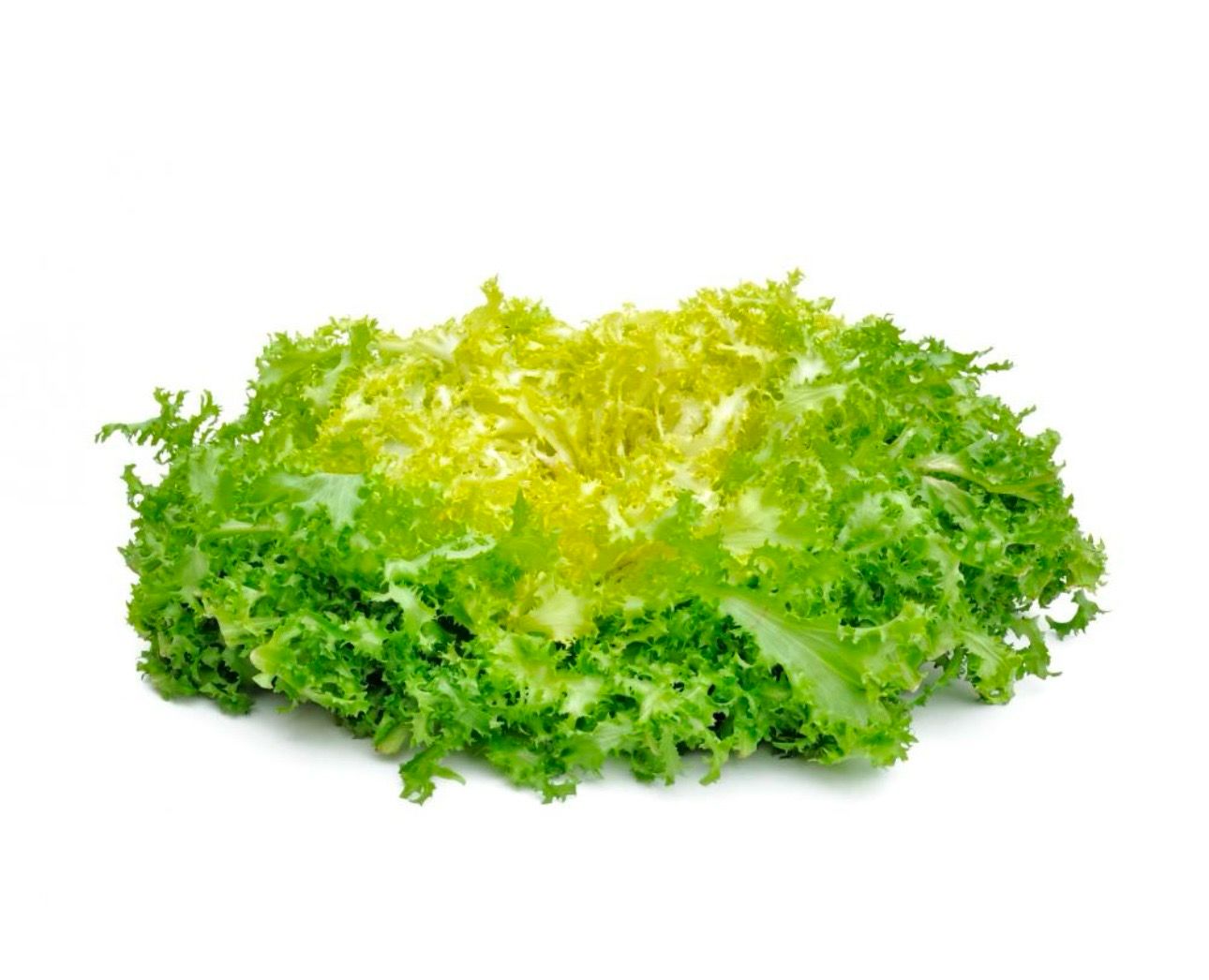 Salade Frisée (la pièce)