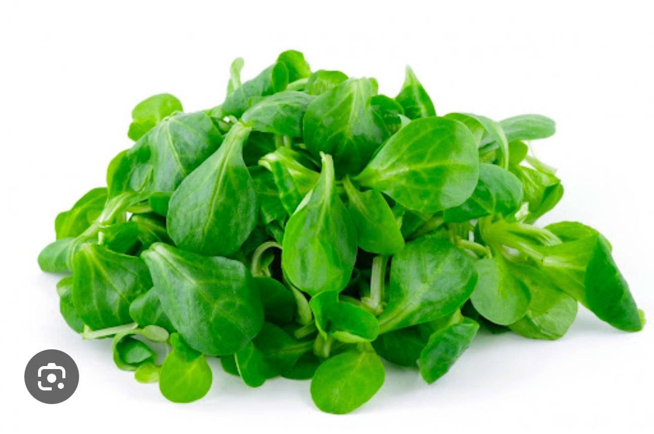 Salade Mâche (200g)
