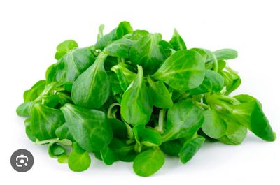 Salade Mâche (200g)