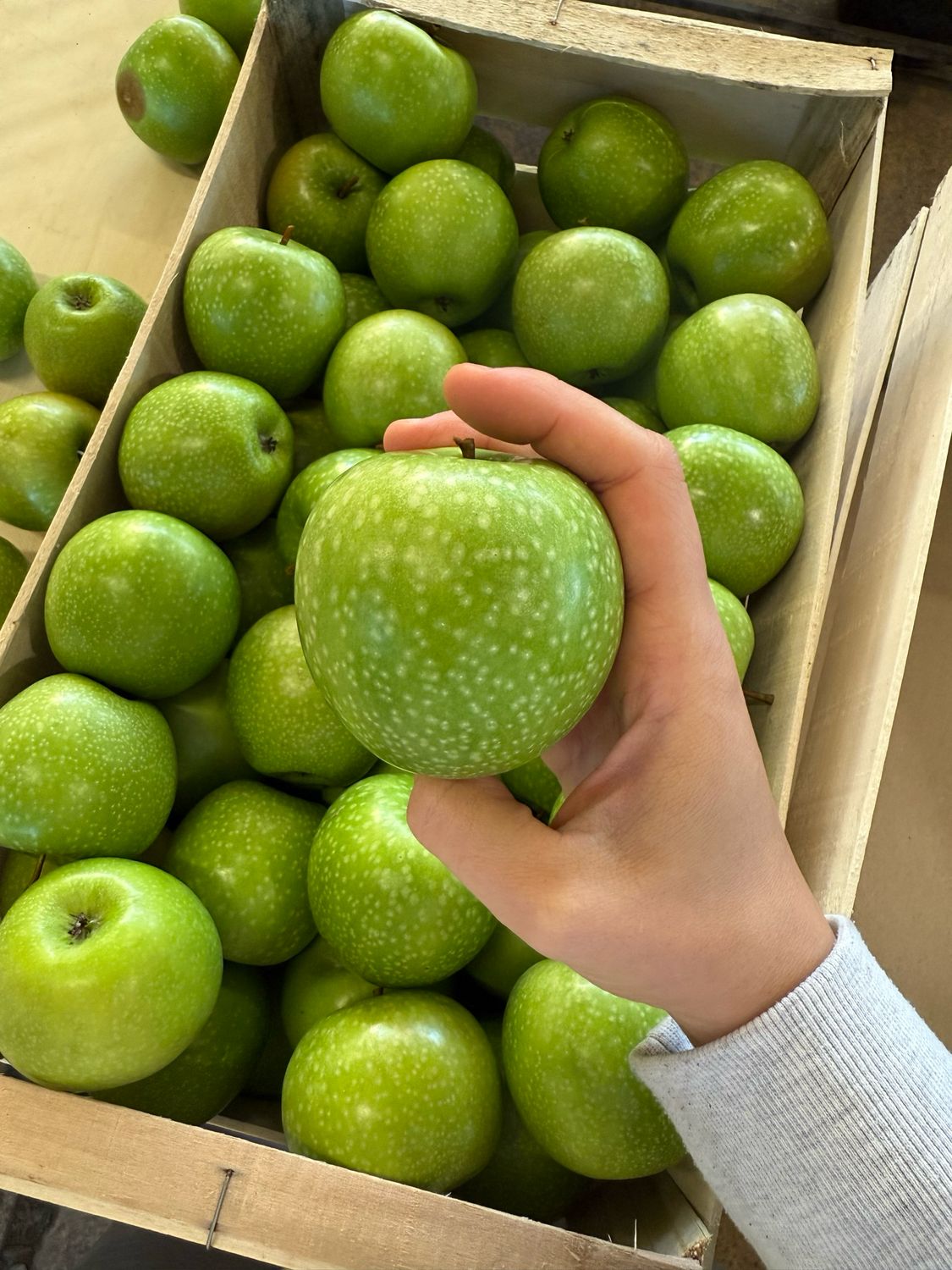 Pomme Granny (le KG)