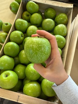 Pomme Granny (le KG)