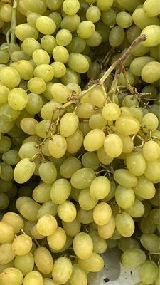 Raisin blanc Italia  (le kg)