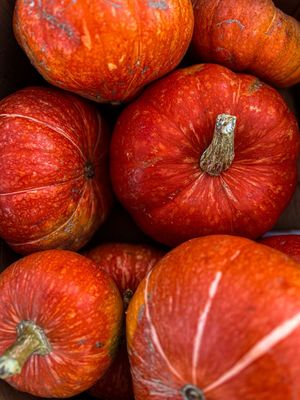 Potimarron (la pièce)