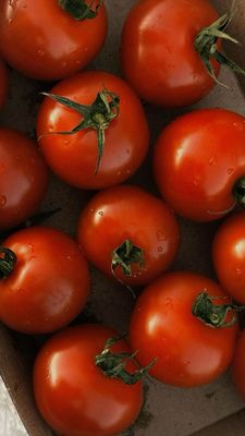 Tomate grappe (le kg)