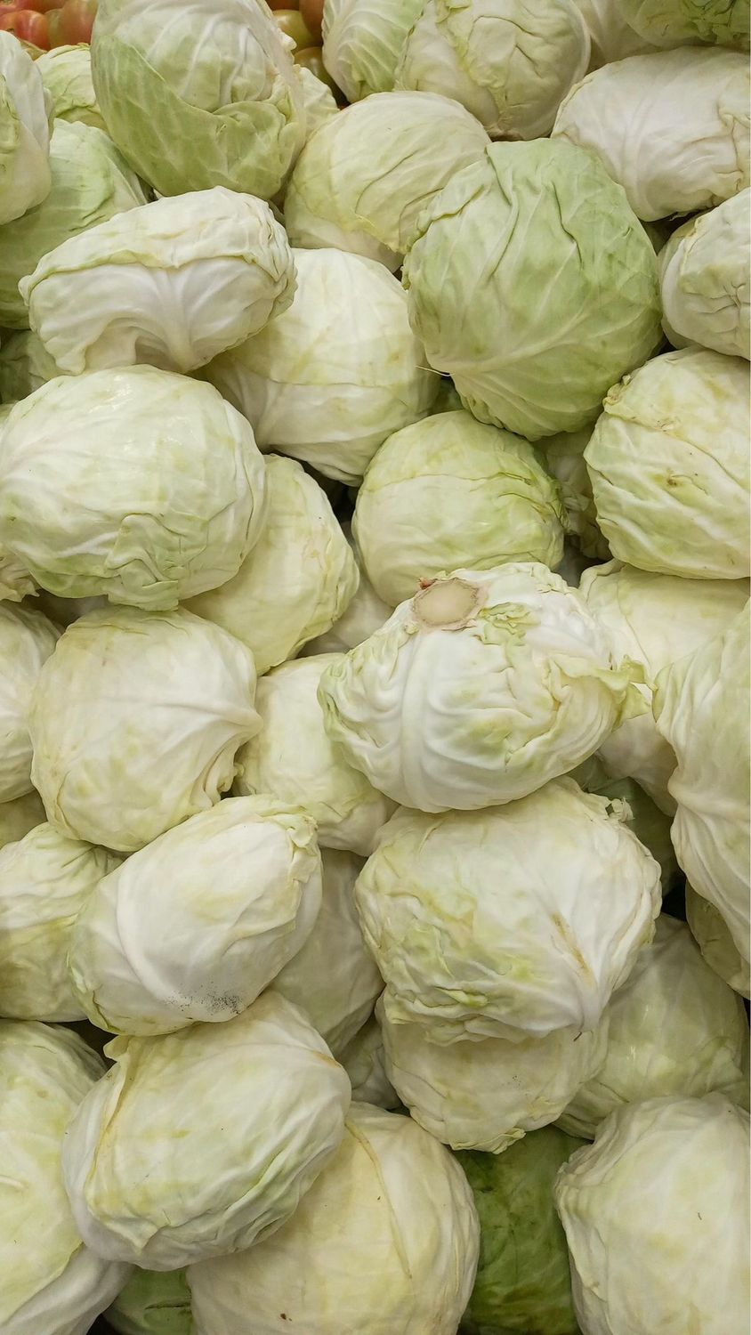 Chou blanc (la pièce) 