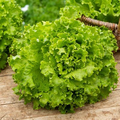 Salade batavia (la pièce)