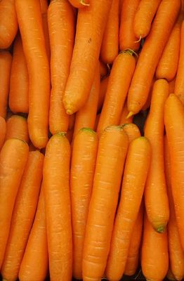 Carotte des Landes (le kg)