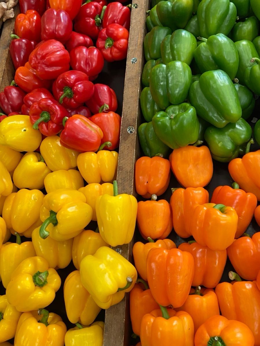 Poivrons 3 couleurs (3 pièces)