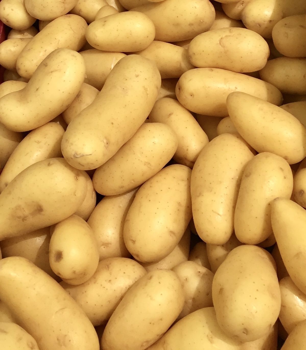 Pomme de terre Amandine (le kg)