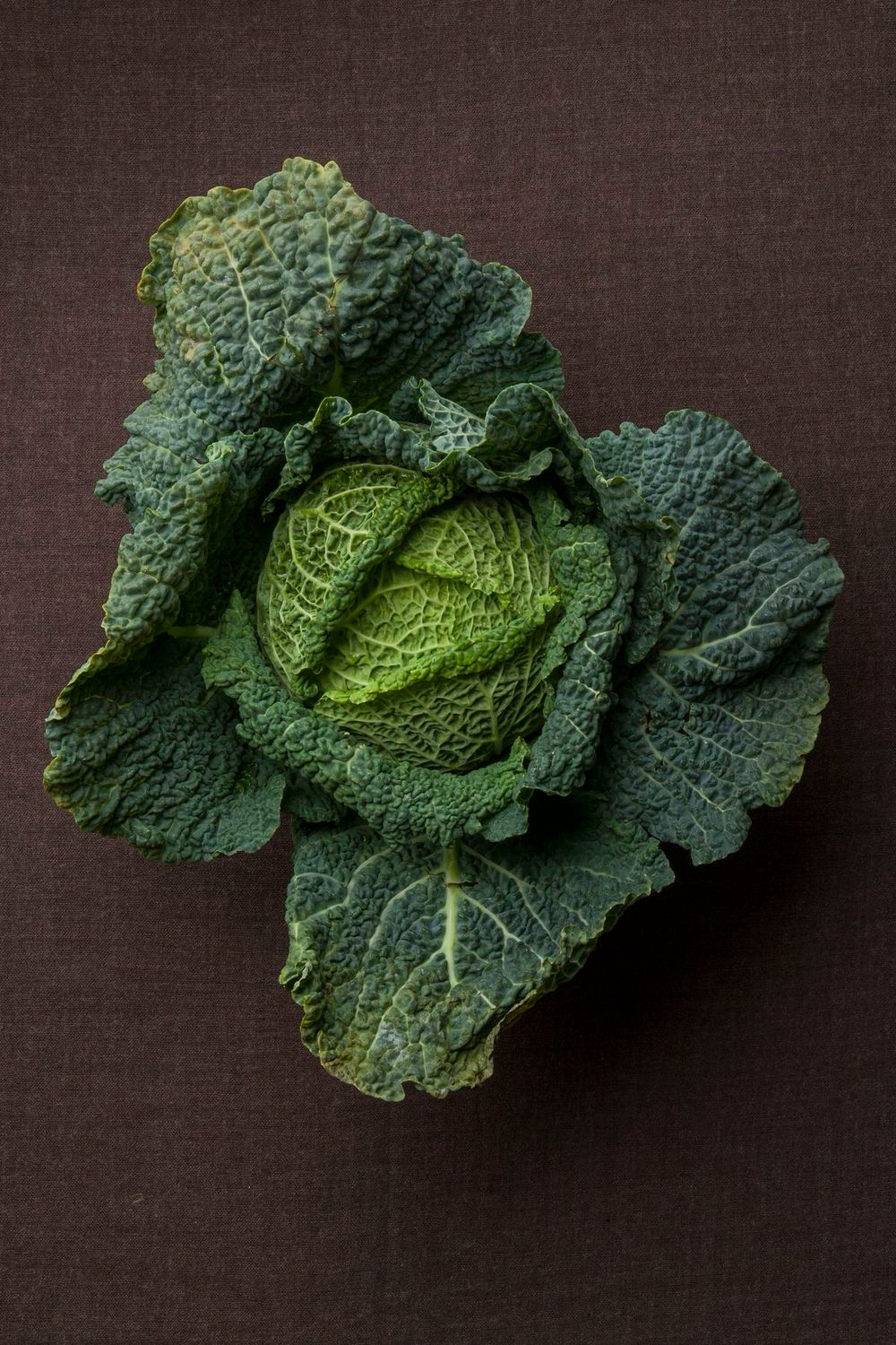 Chou vert frisé (la pièce)