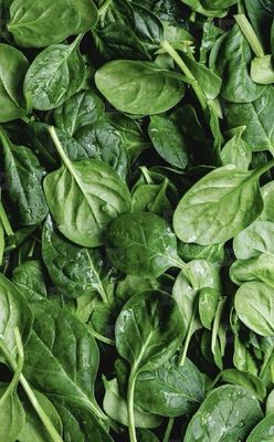 Épinard (le kg)