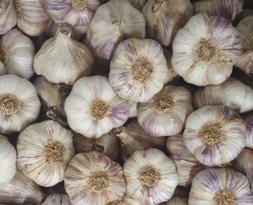 Ail violet (la pièce)