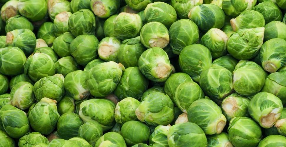 Chou de bruxelles (le KG)