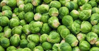 Chou de bruxelles (le KG)