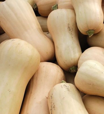 Courge Butternut (la pièce)