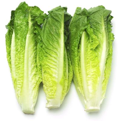 Salade romaine (pièce)