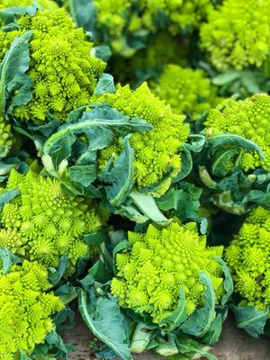 Chou romanesco ( pièce )