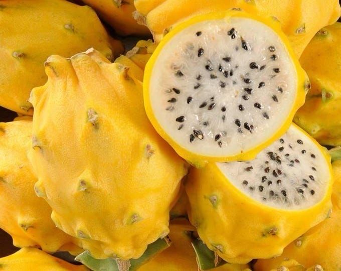 Pitaya jaune