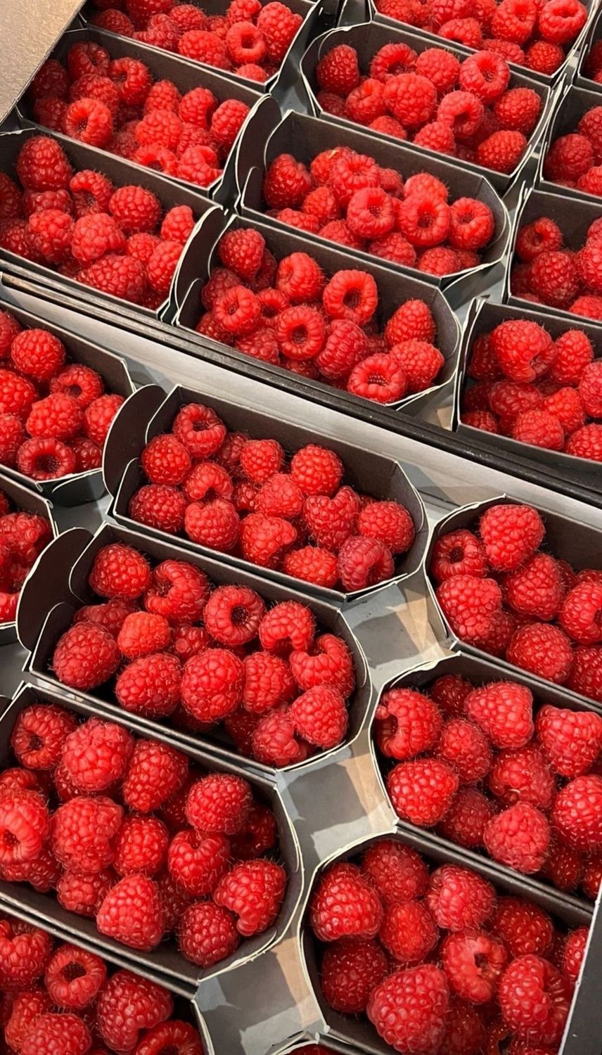 Framboise (barquette)