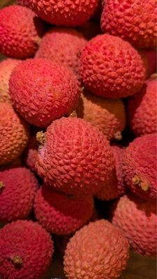 Litchi